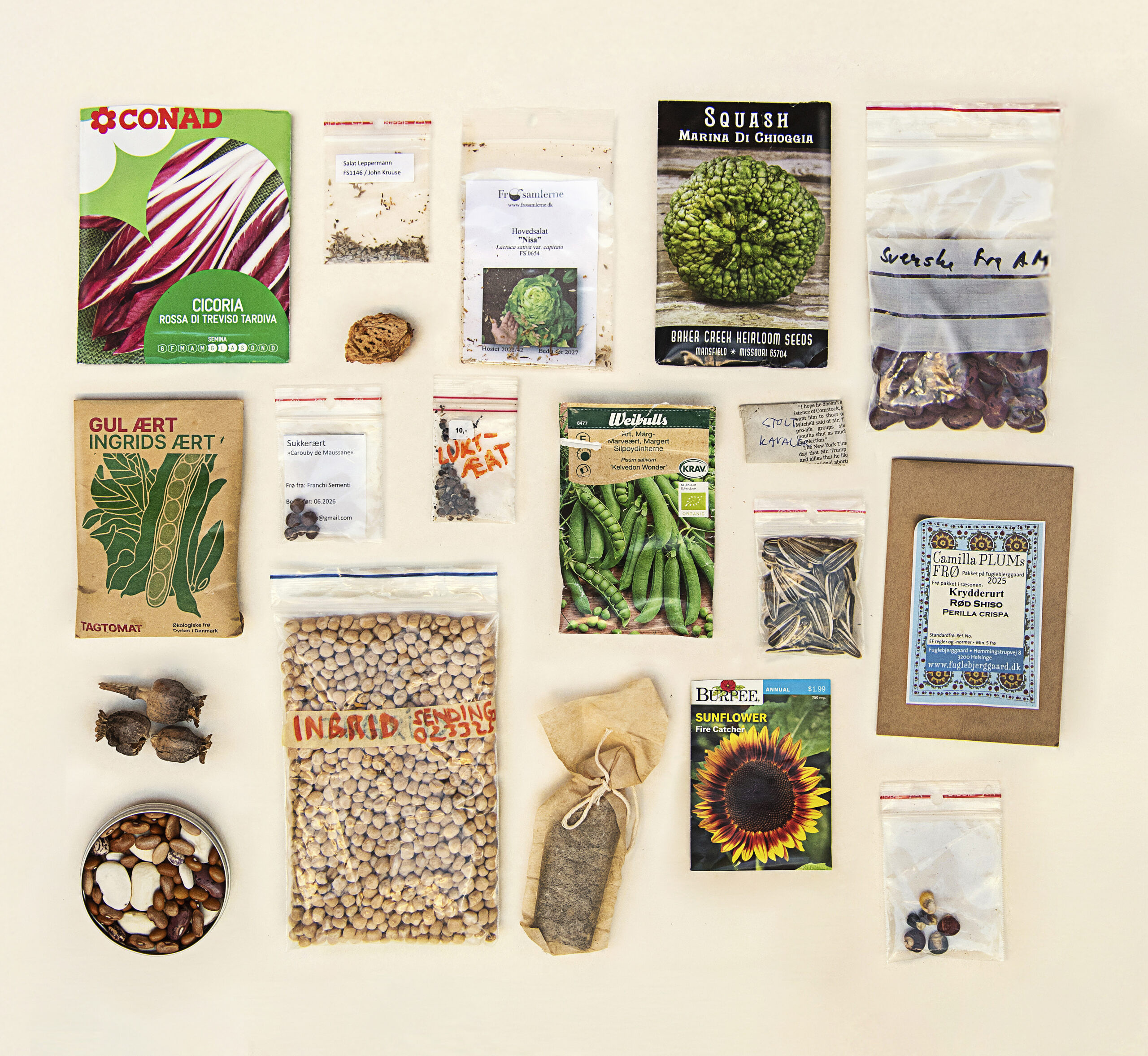 Seed Savers - SMK Thy